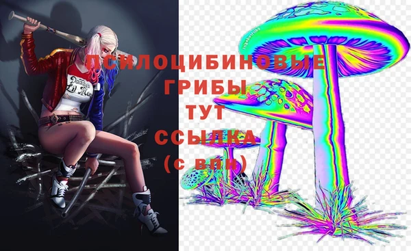 а пвп мука Бородино