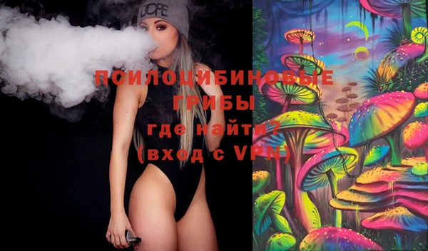а пвп мука Бородино