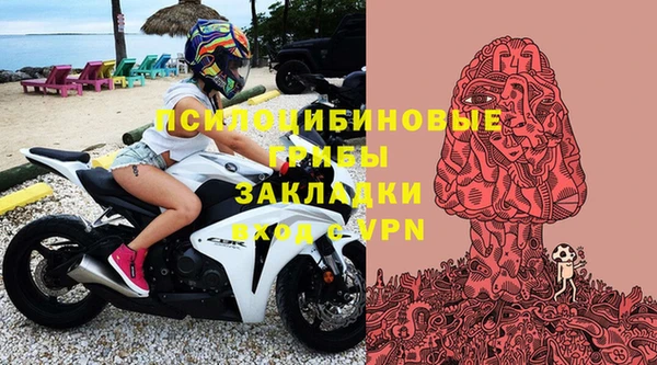 Альфа ПВП Бугульма