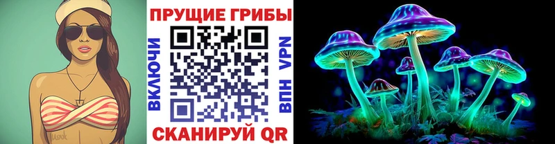 Галлюциногенные грибы мицелий  Кедровый 